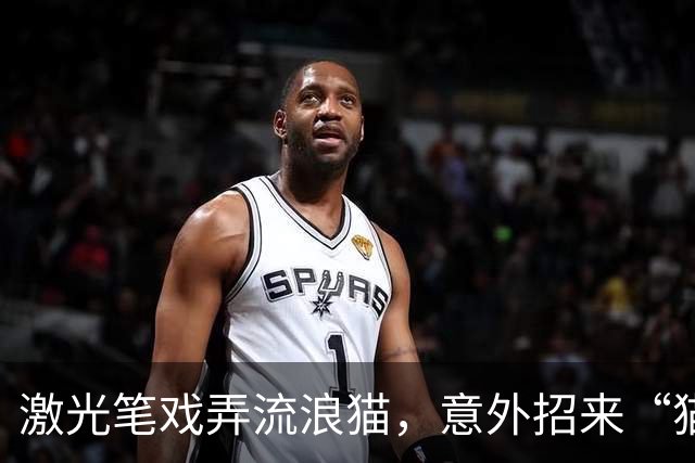 激光笔戏弄流浪猫，意外招来“猫狼